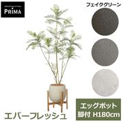 �ե��������꡼�� ���տ�ʪ �͹����տ�ʪ ���С��ե�å��� ���å��ݥåȵ��� H180cm ��ʪ �緿 ȭ�դ� �ץ�󥿡��դ� �ե����� ���꡼�� PRGR-1766 GREENPARK ����̵�� 