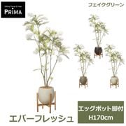 �ե��������꡼�� ���տ�ʪ �͹����տ�ʪ ���С��ե�å��� ���å��ݥåȵ��� H170cm ��ʪ �緿 ȭ�դ� �ץ�󥿡��դ� �ե����� ���꡼�� PRGR-1766 GREENPARK ����̵�� 