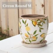 ȭ ���ȥ��� �饦��� ������ ���å� ������ ���� �ʥ����� ����ƥ����� �� �� �ݥå� ��ʪ ͧ�� �����ǥ˥� �����ǥ� �İ��� ưʪ ��ʪ ���� ���� ���åɥǥå� �٥��� �ڱ� ����̵�� 