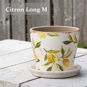 ȭ ���ȥ��� ���� ������ ���å� ������ ���� �ʥ����� �� �� �ݥå� ����ƥ����� ��ʪ ͧ�� �����ǥ˥� �����ǥ� �İ��� ưʪ ��ʪ ���� ���� ���åɥǥå� �٥��� �ڱ� ����̵�� 