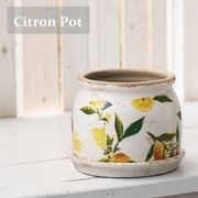 ȭ ���ȥ��� �ݥå� ������ ���å� ������ ���� �ʥ����� �� �� �ݥå� ����ƥ����� ��ʪ ͧ�� �����ǥ˥� �����ǥ� �İ��� ưʪ ��ʪ ���� ���� ���åɥǥå� �٥��� �ڱ� ����̵�� 