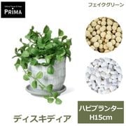 フェイクグリーン 観葉植物 人工観葉植物 造花 卓上 フェイク 植物