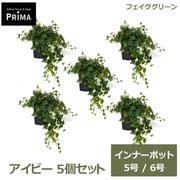 �ե��������꡼�� ���տ�ʪ �͹����տ�ʪ �����ӡ� ����ʡ��ݥå� 5�ĥ��å� H40cm 5�� 6�� ȭ�˥��åȤ������ ��ʪ �� �ޤȤ��㤤 PRGR-1428-02P GREENPARK ����̵�� 