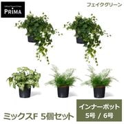 �ե��������꡼�� ���տ�ʪ �͹����տ�ʪ �����ӡ� ���饸���� �������󥿥� ����ʡ��ݥå� 5�ĥ��å� 5�� 6�� ȭ�˥��åȤ������ ��ʪ PRGR-1430P GREENPARK ����̵�� 