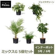 �ե��������꡼�� ���տ�ʪ �͹����տ�ʪ �����ӡ� ���饸���� �������󥿥� �ޥ��Υꥢ ���쥫�䥷 ����ʡ��ݥå� 5�ĥ��å� 5�� 6�� PRGR-1431P GREENPARK ����̵�� 