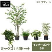 �ե��������꡼�� ���տ�ʪ �͹����տ�ʪ �����ӡ� ���饸���� �������󥿥� �٥󥸥�ߥ� �ɥ�����ĥĥ� ����ʡ��ݥå� 5�ĥ��å� 6�� PRGR-1435P6 GREENPARK ����̵�� 
