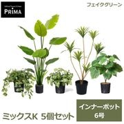�ե��������꡼�� ���տ�ʪ �͹����տ�ʪ �ե��åȥ˥� ���饸���� ����٥顼�� ���ȥ����� �ɥ饻�� ����ʡ��ݥå� 5�ĥ��å� 6�� PRGR-1436P6 GREENPARK ����̵�� 