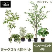 �ե��������꡼�� ���տ�ʪ �͹����տ�ʪ �ե��åȥ˥� ���饸���� ����٥顼�� �٥󥸥�ߥ� �ϥ����� ����ʡ��ݥå� 6�ĥ��å� 6�� PRGR-1708P6 GREENPARK ����̵�� 