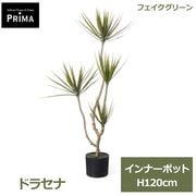 �ե��������꡼�� ���տ�ʪ �͹����տ�ʪ �ɥ饻�� ����ʡ��ݥå� H120cm ñ�� ȭ�˥��åȤ������ �������� ��ʪ �� ���꡼�� ����� PRIJ-0001 GREENPARK ����̵�� 
