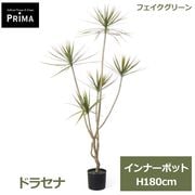 �ե��������꡼�� ���տ�ʪ �͹����տ�ʪ �ɥ饻�� ����ʡ��ݥå� H180cm ñ�� ȭ�˥��åȤ������ �������� ��ʪ �� ���꡼�� ����� PRIJ-0002 GREENPARK ����̵�� 