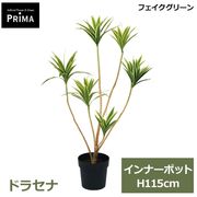 �ե��������꡼�� ���տ�ʪ �͹����տ�ʪ �ɥ饻�� ����ʡ��ݥå� H115cm ñ�� ȭ�˥��åȤ������ �������� ��ʪ �� ���꡼�� ����� PVA-0129 GREENPARK ����̵�� 