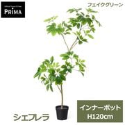 �ե��������꡼�� ���տ�ʪ �͹����տ�ʪ �����ե�� ����ʡ��ݥå� H120cm ñ�� ȭ�˥��åȤ������ �������� ��ʪ �� ���꡼�� ����� PVA-0137 GREENPARK ����̵�� 