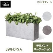 �ե��������꡼�� ���տ�ʪ �͹����տ�ʪ �緿 ���饸���� �ƥ���� W100cm ȭ���å�ȭ�դ� �������� ¤�� ����ƥꥢ���꡼�� ��ʪ PRGR-1433-04 GREENPARK ����̵�� 