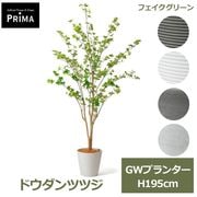�ɥ�����ĥĥ� �ե����� ���꡼�� �͹����տ�ʪ ¤�� �� �緿 ����ƥꥢ���꡼�� �ץ�󥿡��դ� H195cm ���տ�ʪ ������� �������� PRGR-1252 GREENPARK ����̵�� 
