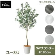 �ե����� ���꡼�� �緿 �桼���� �͹����տ�ʪ ¤�� ����ƥꥢ���꡼�� �ץ�󥿡��դ� H190cm ���տ�ʪ ������� �������� ��ʪ �͵� PRGR-1258 GREENPARK ����̵�� 