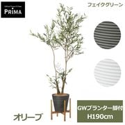 �ե����� ���꡼�� �緿 ���꡼�� �͹����տ�ʪ ¤�� ����ƥꥢ���꡼�� �ץ�󥿡��դ� H195cm ���տ�ʪ ������� �������� ��ʪ ���դ� PRGR-1715 GREENPARK ����̵�� 
