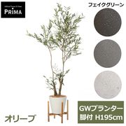 �ե����� ���꡼�� �緿 ���꡼�� �͹����տ�ʪ ¤�� ����ƥꥢ���꡼�� �ץ�󥿡��դ� H195cm ���տ�ʪ ������� �������� ��ʪ ���դ� PRGR-1715 GREENPARK ����̵�� 