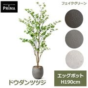 �ɥ�����ĥĥ� �ե����� ���꡼�� �緿 �͹����տ�ʪ ¤�� �� ����ƥꥢ���꡼�� �ץ�󥿡��դ� H190cm ���տ�ʪ ������� �������� PRGR-1253 GREENPARK ����̵�� 