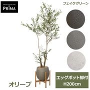���꡼�� �ե����� ���꡼�� �緿 �͹����տ�ʪ ¤�� ����ƥꥢ���꡼�� �ץ�󥿡��� H200cm ���տ�ʪ ������� �������� ��ʪ ���դ� PRGR-1716W GREENPARK ����̵�� 