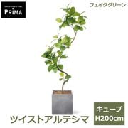 ����ƥ��� �ĥ����� �ե��������꡼�� �緿 �͹����տ�ʪ ¤�� ����ƥꥢ���꡼�� �ץ�󥿡��դ� H200cm ���տ�ʪ ������� �������� PRGR-1544 GREENPARK ����̵�� 
