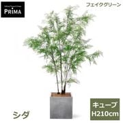 ���� �ե��������꡼�� �緿 �͹����տ�ʪ ¤�� ����ƥꥢ���꡼�� �ץ�󥿡��դ� H210cm ���տ�ʪ ������� �������� ��ʪ ���塼�� PRGR-1553 GREENPARK ����̵�� 