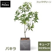 �ѥ��� �ե��������꡼�� �緿 �͹����տ�ʪ ¤�� ����ƥꥢ���꡼�� �ץ�󥿡��դ� H195cm ���տ�ʪ ������� �������� ��ʪ ���塼�� PRGR-1601 GREENPARK ����̵�� 