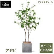 ������ �Ͽ��� �ե��������꡼�� �緿 �͹����տ�ʪ ¤�� ����ƥꥢ���꡼�� �ץ�󥿡��դ� H190cm ���տ�ʪ ������� �������� ��ʪ PRGR-1613 GREENPARK ����̵�� 