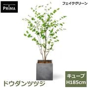 �ɥ�����ĥĥ� �ե��������꡼�� �緿 �͹����տ�ʪ ¤�� ����ƥꥢ���꡼�� �ץ�󥿡��դ� H185cm ���տ�ʪ ������� �������� ��ʪ PRGR-1630 GREENPARK ����̵�� 