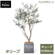 ���꡼�� �ե����� ���꡼�� �緿 �͹����տ�ʪ ¤�� ����ƥꥢ���꡼�� �ץ�󥿡��դ� H200cm ���տ�ʪ ������� �������� ��ʪ ���� PRGR-1721 GREENPARK ����̵�� 