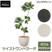 �ե����� ����٥顼�� �ĥ����� �ե��������꡼�� �緿 �͹����տ�ʪ ¤�� ����ƥꥢ���꡼�� �ץ�󥿡��� H195cm ���տ�ʪ �������� PRGR-1540 GREENPARK ����̵�� 