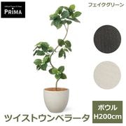 �ե����� ����٥顼�� �ĥ����� �ե��������꡼�� �緿 �͹����տ�ʪ ¤�� ����ƥꥢ���꡼�� �ץ�󥿡��� H200cm ���տ�ʪ �������� PRGR-1540 GREENPARK ����̵�� 