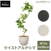 �ե����� ����ƥ��� �ĥ����� �ե��������꡼�� �緿 �͹����տ�ʪ ¤�� ����ƥꥢ���꡼�� �ץ�󥿡��� H200cm ���տ�ʪ �������� PRGR-1541 GREENPARK ����̵�� 