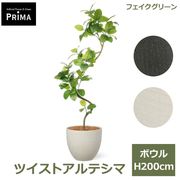 �ե����� ����ƥ��� �ĥ����� �ե��������꡼�� �緿 �͹����տ�ʪ ¤�� ����ƥꥢ���꡼�� �ץ�󥿡��� H195cm ���տ�ʪ �������� PRGR-1541 GREENPARK ����̵�� 
