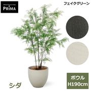 ���� �ե��������꡼�� �緿 �͹����տ�ʪ ¤�� ����ƥꥢ���꡼�� �ץ�󥿡��դ� H190cm ���տ�ʪ �������� ������� ����ܥ�ĥ꡼ PRGR-1549 GREENPARK ����̵�� 