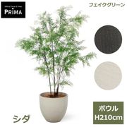���� �ե��������꡼�� �緿 �͹����տ�ʪ ¤�� ����ƥꥢ���꡼�� �ץ�󥿡��դ� H210cm ���տ�ʪ �������� ������� ����ܥ�ĥ꡼ PRGR-1549 GREENPARK ����̵�� 