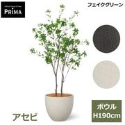 ������ �Ͽ��� �ե��������꡼�� �緿 �͹����տ�ʪ ¤�� ����ƥꥢ���꡼�� �ץ�󥿡��դ� H190cm ���տ�ʪ �������� ��ʪ PRGR-1615 GREENPARK ����̵�� 