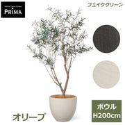 ���꡼�� �ե��������꡼�� �緿 �͹����տ�ʪ ¤�� ����ƥꥢ���꡼�� �ץ�󥿡��դ� H200cm ���տ�ʪ �������� ��ʪ ���դ� ���� PRGR-1720 GREENPARK ����̵�� 