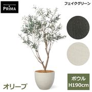 ���꡼�� �ե��������꡼�� �緿 �͹����տ�ʪ ¤�� ����ƥꥢ���꡼�� �ץ�󥿡��դ� H190cm ���տ�ʪ �������� ��ʪ ���դ� ���� PRGR-1720 GREENPARK ����̵�� 