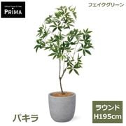 �ѥ��� ȯ��� money tree �ե��������꡼�� �緿 �͹����տ�ʪ ¤�� ����ƥꥢ���꡼�� �ץ�󥿡��դ� H185cm ���տ�ʪ �������� ��ʪ PRGR-1602 GREENPARK ����̵�� 