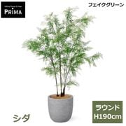 ���� �ե��������꡼�� �緿 �͹����տ�ʪ ¤�� ����ƥꥢ���꡼�� �ץ�󥿡��դ� ȭ�դ� H190cm ���տ�ʪ �������� ��ʪ ������� PRGR-1626 GREENPARK ����̵�� 