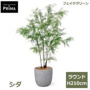 ���� �ե��������꡼�� �緿 �͹����տ�ʪ ¤�� ����ƥꥢ���꡼�� �ץ�󥿡��դ� ȭ�դ� H210cm ���տ�ʪ �������� ��ʪ ������� PRGR-1626 GREENPARK ����̵�� 