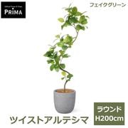 フェイクグリーン 観葉植物 フェイク 人工観葉植物 造花 植物