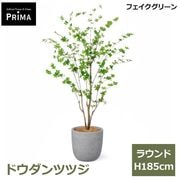 �ɥ�����ĥĥ� �ե��������꡼�� �緿 �͹����տ�ʪ ¤�� ����ƥꥢ���꡼�� �ץ�󥿡��դ� H190cm ���տ�ʪ �������� ȭ�դ� ��ʪ PRGR-1631 GREENPARK ����̵�� 