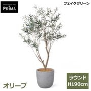 ���꡼�� �ե��������꡼�� �緿 �͹����տ�ʪ ¤�� ����ƥꥢ���꡼�� �ץ�󥿡��դ� H190cm ���տ�ʪ �������� ȭ�դ� ��ʪ ���դ� PRGR-1722 GREENPARK ����̵�� 