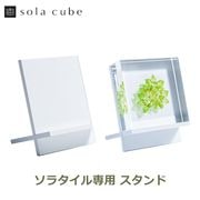 ���饿���� ������� Ω�� ɸ�� ���� ��� 5cm ����ƥꥢ ��ʪ �� ������ ������� ���֥��� ��ʪ ���ե� �ץ쥼��� Sola tile �襭�塼�� �������Υͥɥ� ��åԥ��б� 