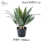 多肉植物 サキュレント リース ミニ 20cm フェイク グリーン 造花 植物