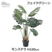 �ե��������꡼�� ��󥹥ƥ� 100cm �͹����տ�ʪ ¤�� ���տ�ʪ ����ƥꥢ���꡼�� ������� ��� �꥾���� �̲� GRN-11 �ʥ����� ���� ���� ��ӥ� ���� ���ե��� Ź�� ����̵�� 