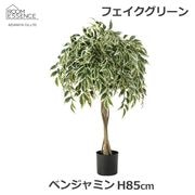 �ե��������꡼�� �٥󥸥�ߥ� 85cm �͹����տ�ʪ ¤�� ���տ�ʪ ������� ����ƥꥢ���꡼�� GRN-20 �̲� �ʥ����� �ܥ�塼�� �ڤ䤫 ���� ���� ��ӥ� ���ե��� Ź�� ����̵�� 