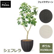 �ե��������꡼�� �͹����տ�ʪ �緿 ���å� �����ե�� �ܥ��� ¤�� H190cm ����ƥꥢ���꡼�� ȭ�դ� ȭ���å� ���տ�ʪ �͵� ������� PRGR-1814 GREENPARK ����̵�� 