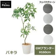 �ե��������꡼�� �͹����տ�ʪ ���å� �ѥ��� ȯ��� money tree H160cm ����ƥꥢ���꡼�� �ﵯʪ �Ɀ���å� �������� ȭ�դ� ���տ�ʪ PRGR-1842 GREENPARK ����̵�� 